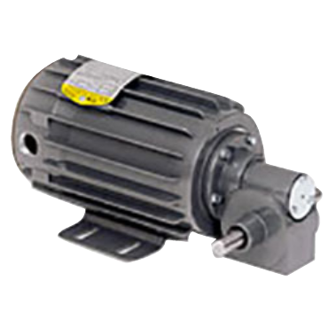 Baldor-RelianceGM25022