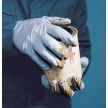 Memphis Glove Co.127-6025L