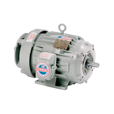 Automotive Duty AC Motor