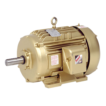 Baldor-RelianceEFM2334T