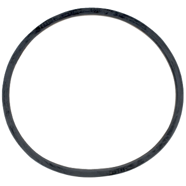 Chicago Rawhide401602