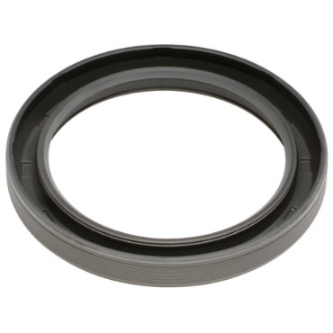 Chicago Rawhide65X85X10HMS5RG