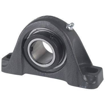RASC Series Cast Iron 2-Bolt Ball Bearing Pillow Block