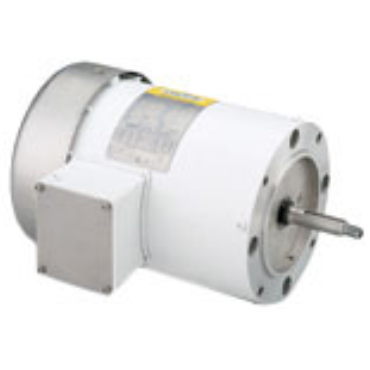AC Three Phase Washguard Motors
