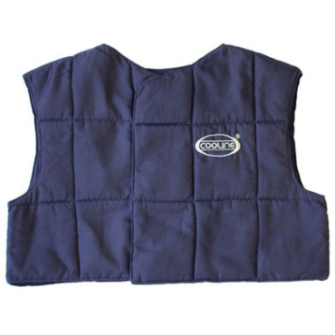 PIP390-1009