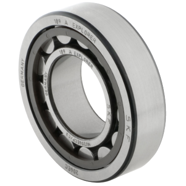 SKFNU 319 ECP/P5VQ3751