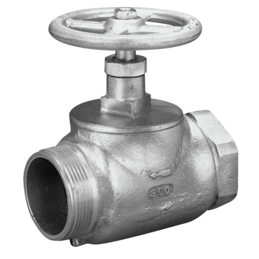 Dixon Valve & CouplingSGV250F
