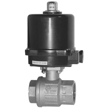 Dixon Valve & CouplingBV2BV-20011-EA