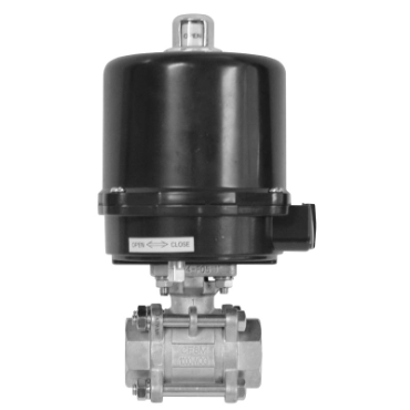 Dixon Valve & CouplingBV2IG-20011-EA
