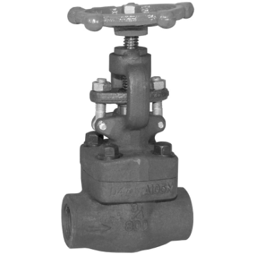 Dixon Valve & CouplingFSGLBV200