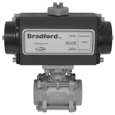 Dixon Valve & CouplingBV2IG-20011-BCC