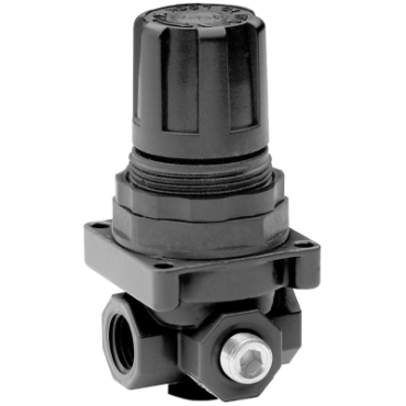 Dixon Valve & CouplingR03-02R