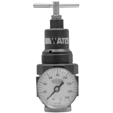 Dixon Valve & CouplingR11-02CG