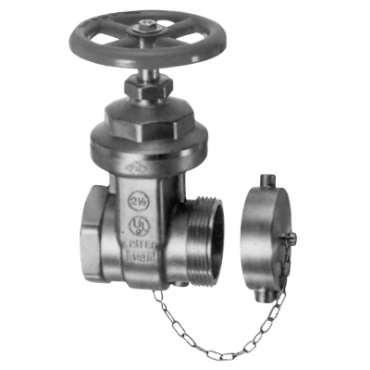 Dixon Valve & CouplingWDGV3025F