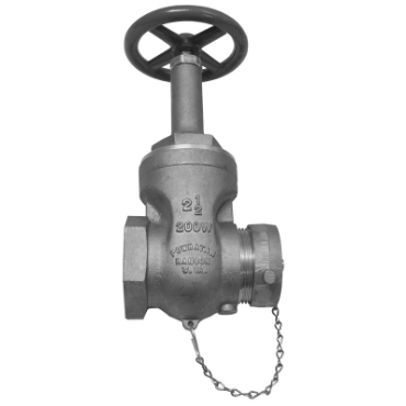 Dixon Valve & CouplingRWDGV250F