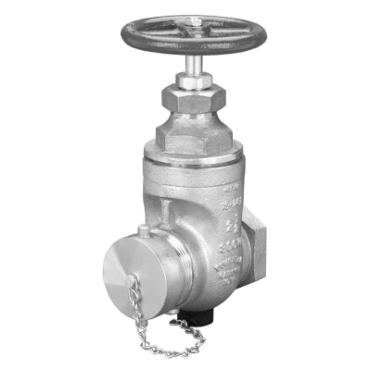 Dixon Valve & CouplingWDGV250F