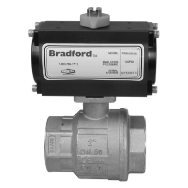 Dixon Valve & CouplingBV2BV-30011-BBC