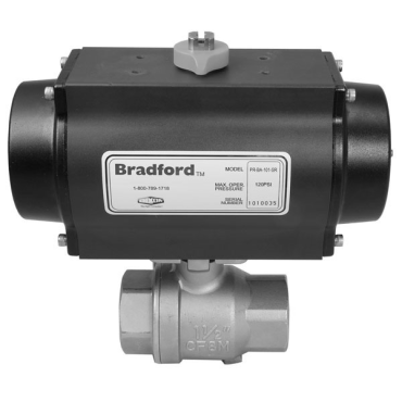 Dixon Valve & CouplingBV2HG-10011-BBC