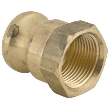 Dixon Valve & Coupling100-A-BR