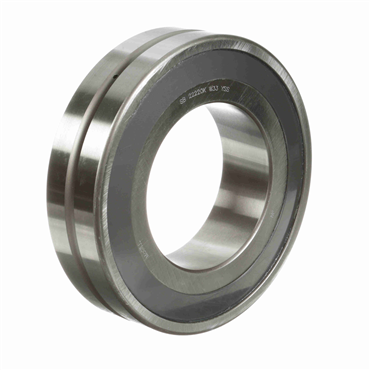Spherol® Tapered Bore Radial Spherical Roller Bearing With Double Seal