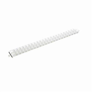 MorseN424CHAIN