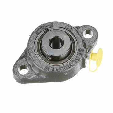 Cast Iron 2-Bolt Flange Setscrew Lock Standard Duty Flange Unit
