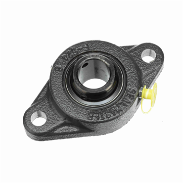 Cast Iron 2-Bolt Flange Setscrew Lock Standard Duty Flange Unit