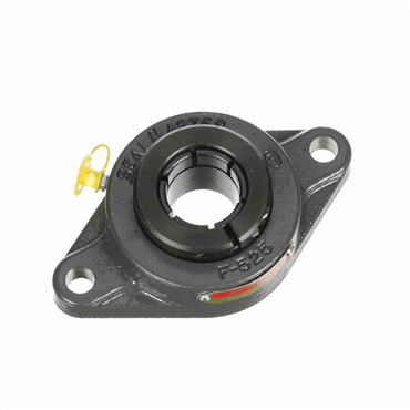Cast Iron 2-Bolt Flange Concentric Lock Standard Duty Flange Unit