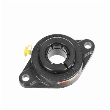 Cast Iron 2-Bolt Flange Concentric Lock Standard Duty Flange Unit