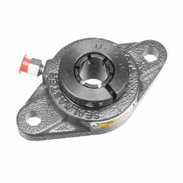 Cast Iron 2-Bolt Flange Concentric Lock Standard Duty Flange Unit