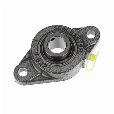 Cast Iron 2-Bolt Flange Setscrew Lock Standard Duty Flange Unit