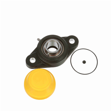 Polyamide Setscrew Lock 2-Bolt Flange Standard Duty Ball Bearing