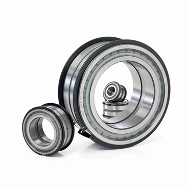 Sealed Straight Bore Double Row Radial Cylindrical Roller Bearing