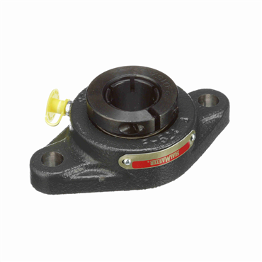 Cast Iron 2-Bolt Flange Concentric Lock Standard Duty Flange Unit