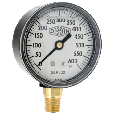 Dixon Valve & CouplingGLP530