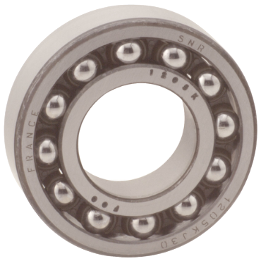 SNR Bearings1210
