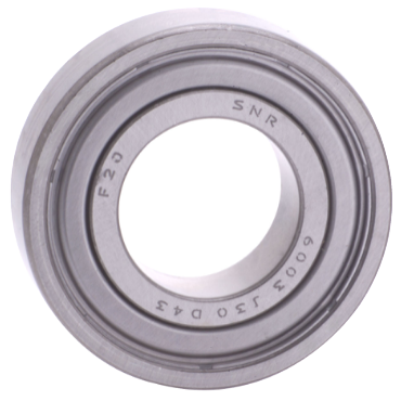 SNR Bearings6013ZZJ30D43A50