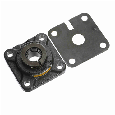 SealmasterBSF-19TH RMD