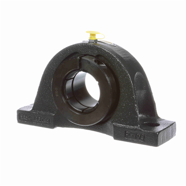 SealmasterNP-31T DRT