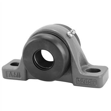 Wide Inner Ring Cast Iron Housing Material Pillow Block