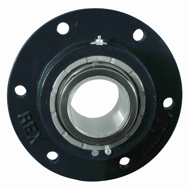 Cast Iron 4 15/16 in Shaft Dia Double Set Collar Spherical Roller Flange Block