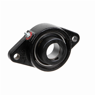 1 1/2 in Cast Iron Intermediate Duty 2 Bolt Flange Block