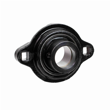 1 in Ductile Iron Intermediate Duty 2 Bolt Flange Block