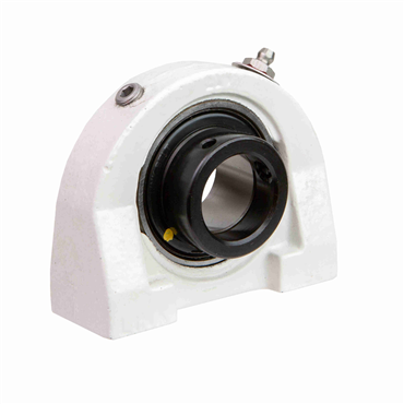 1 3/16 in Intermediate Duty Cast Iron 2 Bolt Pillow Block