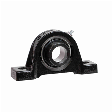 1 in Intermediate Duty Cast Iron 2 Bolt Pillow Block