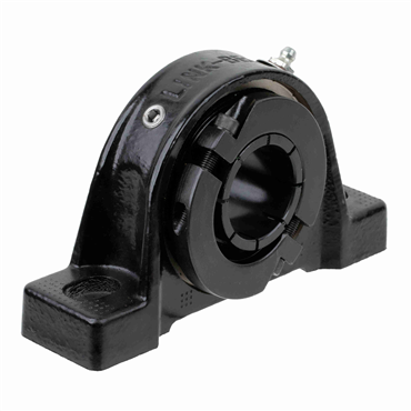 2 in Standard Duty Cast Iron 2 Bolt Pillow Block
