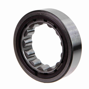 1200 Series Double Rib Cylindrical Roller Bearing