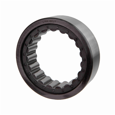 1200 Series Double Rib Cylindrical Roller Bearing