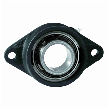 5/8 in Cast Iron Setscrew Locking Intermediate Duty 2 Bolt Flange Block