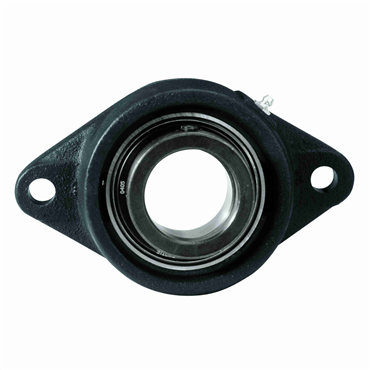 1 in Cast Iron Intermediate Duty 2 Bolt Flange Block